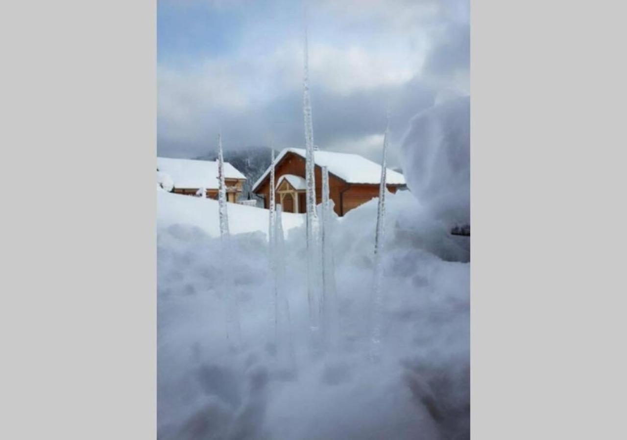 Chalets Des Hauts De France كسونبورت-لونجمير المظهر الخارجي الصورة